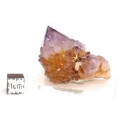 Cristal Cactus Brute 2732