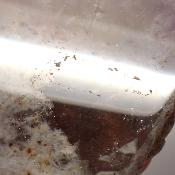 Auralite 23 Plaque 2757
