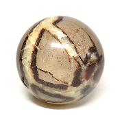 Septaria Boule 2831