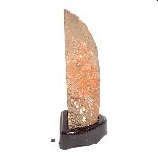 Agate Naturelle Géodes sur socle en bois 2889