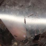 Cristal de Roche Dodécaèdre 3025
