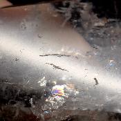 Cristal Vogel Plat 3029