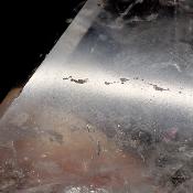 Cristal Vogel Plat 3030