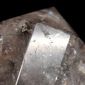 Cristal Vogel 3035