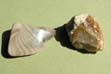 Silex