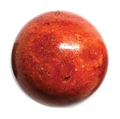 Corail Racine