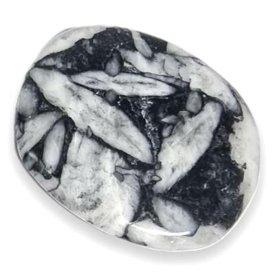 Pinolite