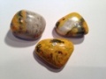 Jaspe Abeille (Bee Jasper)