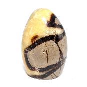 Septaria Forme Libre 08344