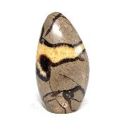 Septaria Forme Libre 08366