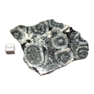Diorite Orbiculaire Plaque 0114