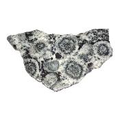 Diorite Orbiculaire Plaque 0117