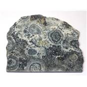 Diorite Orbiculaire Plaque 11917