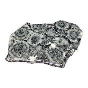 Diorite Orbiculaire Plaque 0123