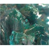 Dioptase Pierre Brute 12841