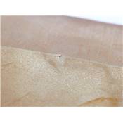Citrine Naturelle Pointe Brute 13012