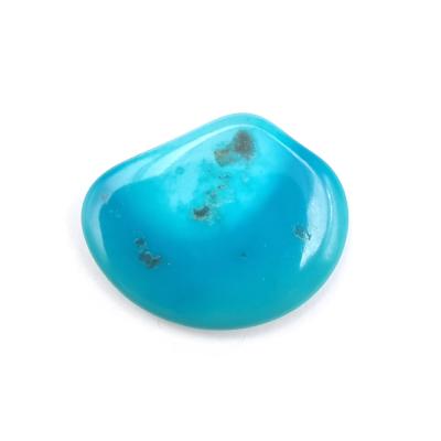 Turquoise Sleeping Beauty