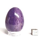 Charoite Oeuf 14904