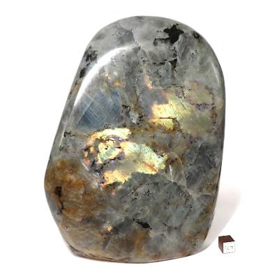 Labradorite Forme Libre 15561