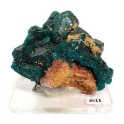Dioptase Pierre Brute 15808