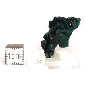 Dioptase Pierre Brute 15825