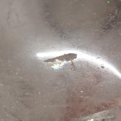 Cristal de Roche Crâne 2155