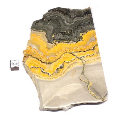 Jaspe Abeille Plaque 2282