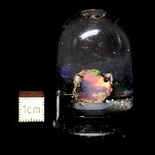 Opale d'Ethiopie Pierre Brute 2303