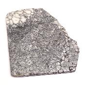 Pinolite Plaque 2337