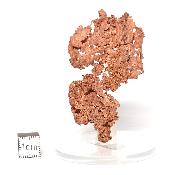 Cuivre Natif pierre brute 2585