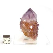 Cristal Cactus Brute 2733