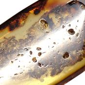 Ambre de la Baltique Pendentif 3091