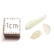Jade de chine Mini Pierres Roulées Sachet de 75 grs