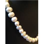 Perles d'Eau Douce Blanche - Collier Epai Perles Ovale