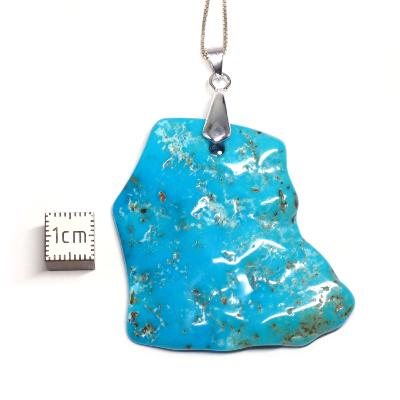 Turquoise de Chine pendentif Plaque 04922