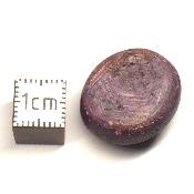 Rubis Etoilé Cabochon n° 05324