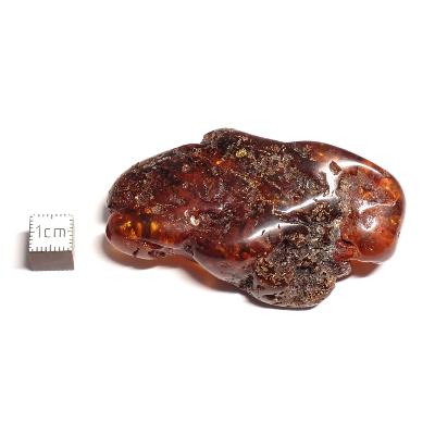Ambre de la Baltique morceau poli n° 05947