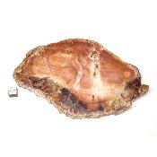 Bois Fossile Plaque 0130