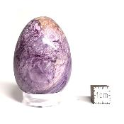 Charoite Oeuf 14902