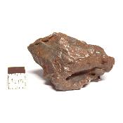 Météorite Sidérite Sikhote-Alin 15182