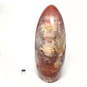 Bois Fossile Forme Libre 15451