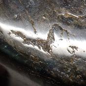 Labradorite Forme Libre 15506
