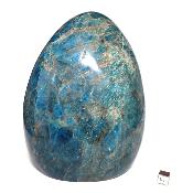 Apatite Bleue Forme Libre 15552