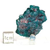 Dioptase Pierre Brute 15783