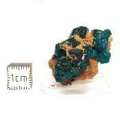 Dioptase Pierre Brute 15808