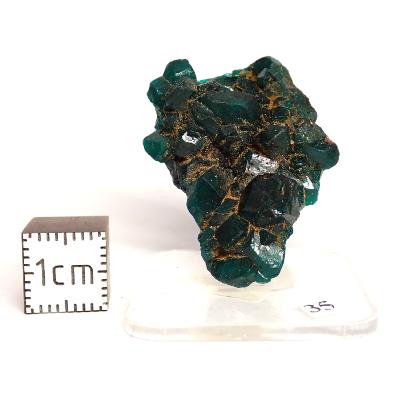Dioptase Pierre Brute 15824