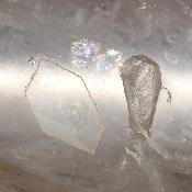 Cristal de Roche Pointe Polie 15864