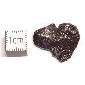 Météorite Sidérite Sikhote-Alin 15987