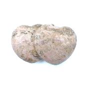 Rhodochrosite Coeur 19288