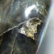 Labradorite Forme Libre 19923